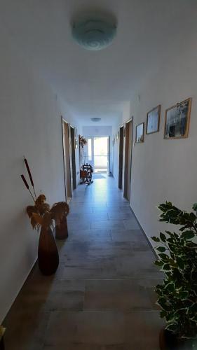Fotografie z fotogalerie ubytování Apartment PinoAppLosinj v destinaci Veli Lošinj