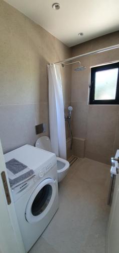 a small bathroom with a washing machine and a toilet at Sivota Apartments in Syvota
