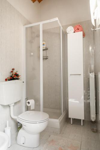 a bathroom with a shower and a white toilet at Cielo Blu Casa Alpina Vialattea in Oulx