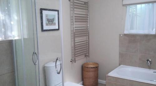 a bathroom with a toilet and a shower and a sink at Squirrel's End in Cape Town