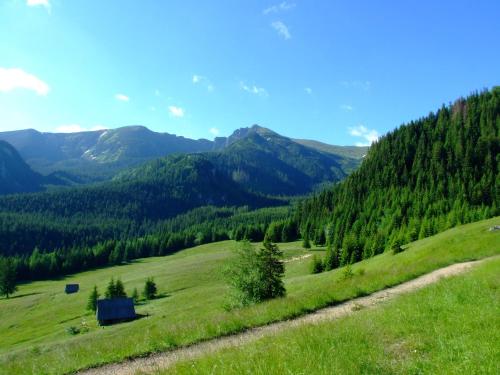 a green hillside with a house in the middle of a field at Hotel Górski Kalatówki in Zakopane