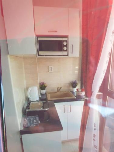 Ảnh trong thư viện ảnh của Apartament Razvan ở Saturn