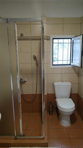 Vonios kambarys apgyvendinimo įstaigoje Sandra Apartment