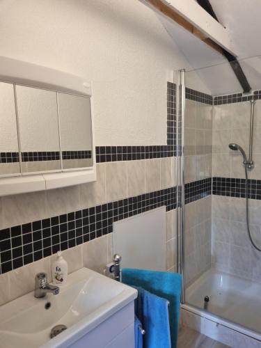 La salle de bains est pourvue d'un lavabo et d'une douche. dans l'établissement Nordsee Liebe - Hüttenzauber für 2 Personen, à Schortens