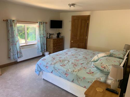 Schlafzimmer mit einem Bett, einem TV und einem Fenster in der Unterkunft Slerra Hill Bed and Breakfast, Clovelly in Bideford