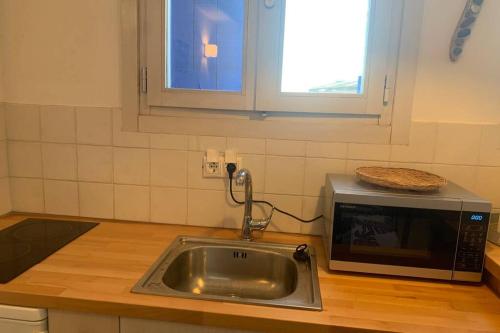 eine Küche mit einer Spüle und einer Mikrowelle auf der Theke in der Unterkunft ROMANTIC HOUSE 6 STEPS FROM THE SEA in Mochlos