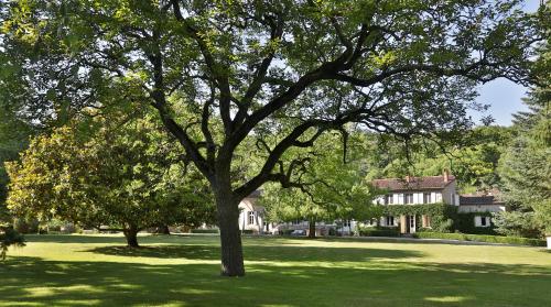 a large tree in the middle of a green field at La Chapelle aux Acacias in Caucalières