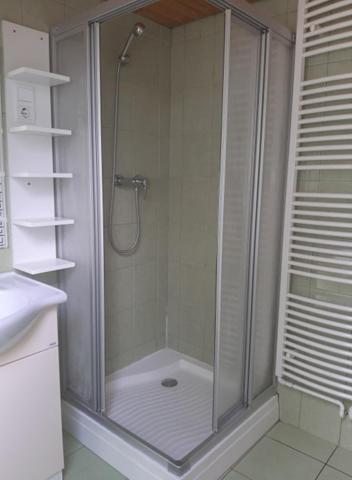 a shower with a glass door in a bathroom at Aleksa apartman in Lesencetomaj