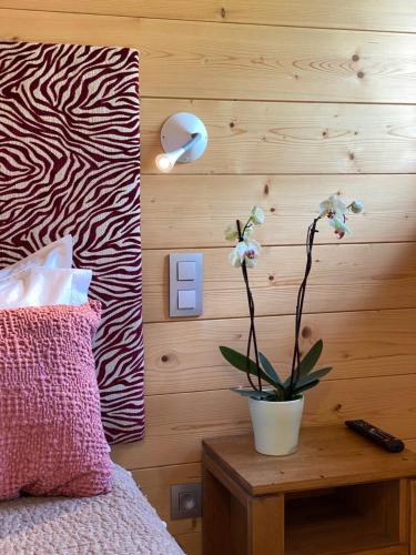 Chalet Isabelle Mountain lodge 5 stars 6 bedroom en suite sauna spa inox photo 33
