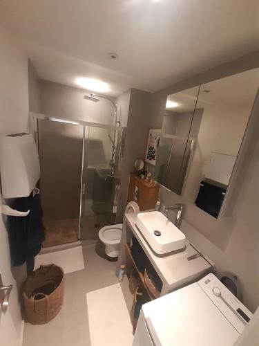 y baño con ducha, aseo y lavamanos. en confortable appartement T2, en La Grande-Motte