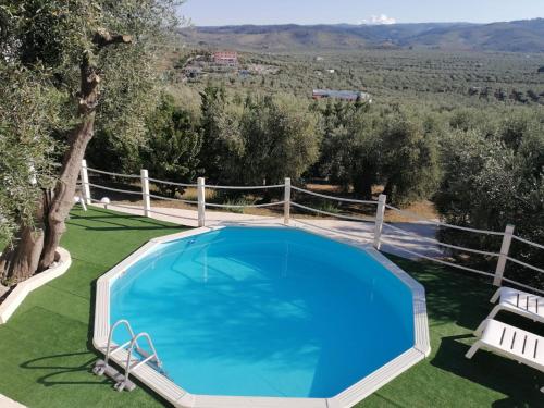 uma piscina azul no meio de um quintal em B&B Borgo Degli Ulivi em Vieste