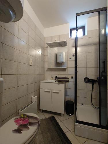a bathroom with a shower and a toilet and a sink at Apartmani Lea in Jadranovo