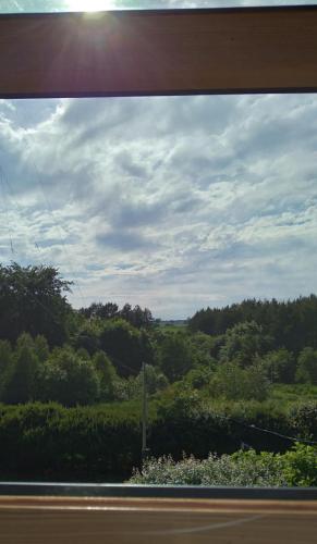 a view from a train window of a field at Agrogajówka in Gniewino