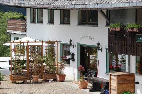 a white building with potted plants in front of it at Pension Wiesengrund in Schluchsee