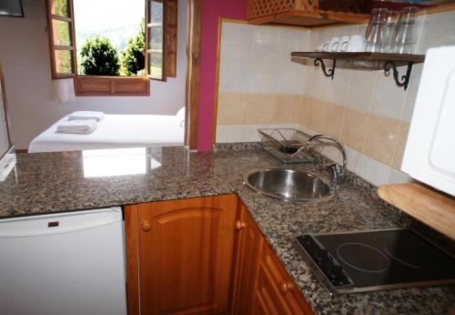 a small kitchen with a sink and a counter top at Mirador del Oso in Proaza