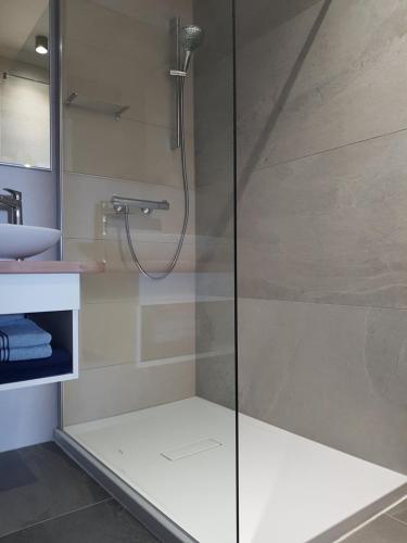 a shower with a glass door in a bathroom at EvaMaria apartments in Poreč