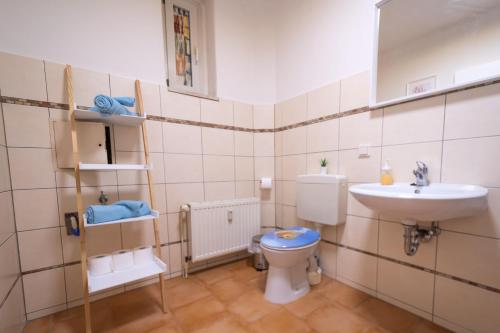 une salle de bain avec toilettes et lavabo dans l'établissement Blue Chili 18 Zentrales CITY-Apartment am Hasselbachplatz, 4 Personen, à Magdebourg