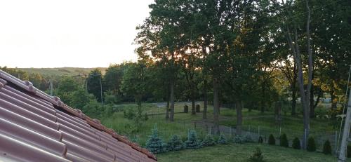 a view of a cemetery with trees and a fence at Agroturystyka Pokój na Skarpie in Kowale Oleckie