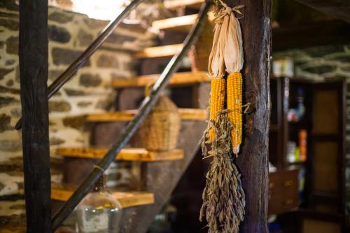 a bunch of corn hanging on a pole at Djurdjevina Family Farm in Kolašin