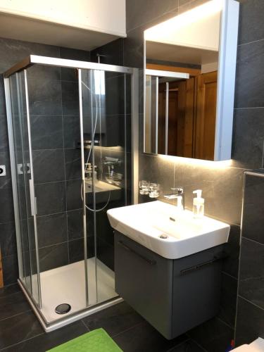ein Bad mit einem Waschbecken und einer Dusche mit einem Spiegel in der Unterkunft Haus Diezig in Blitzingen