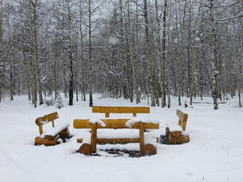 HI Kananaskis Wilderness - Hostel durante el invierno