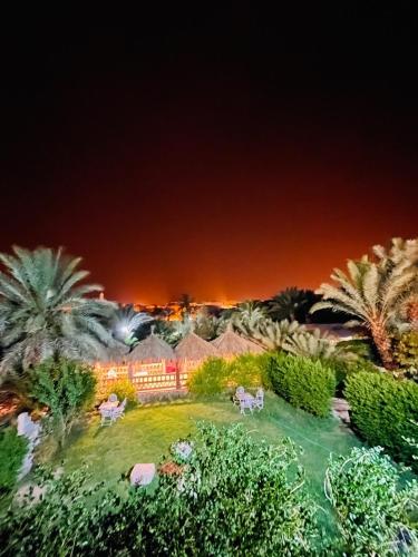 Paradis Touaregにある庭