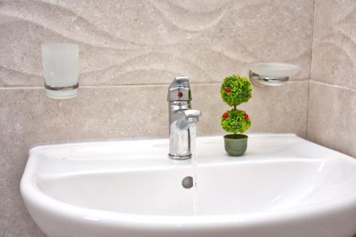 a white sink in a bathroom with a plant on it at Mike's apartments in Agios Gordios