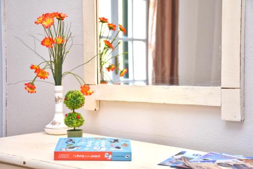 a book and a vase with flowers on a table at Mike's apartments in Agios Gordios