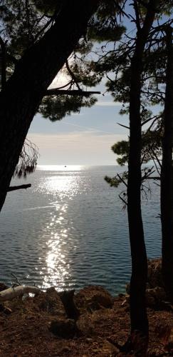 a view of a body of water between two trees at Luxury Apartment Spa "Marina" in Makarska