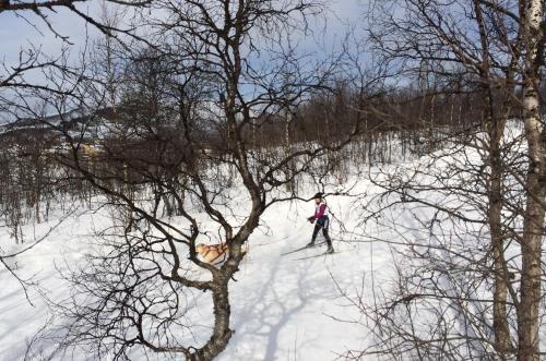 a person is skiing down a snow covered slope at STF Malmfältens Folkhögskola in Kiruna