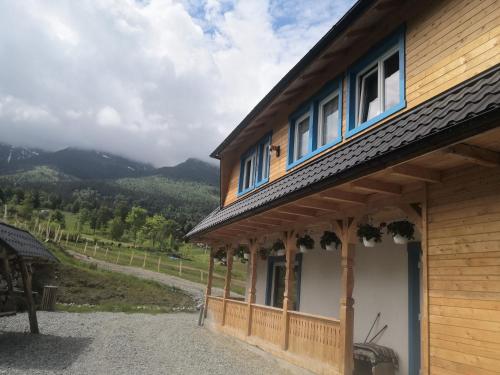 Casa de madera con vistas a las montañas en Cabana Agroturistica Runc en Borşa