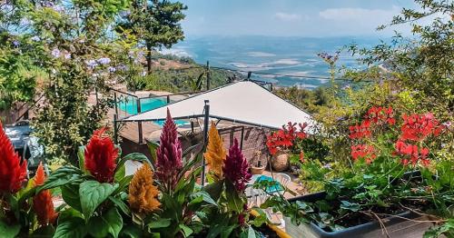 a garden with colorful flowers in front of a building at Panoramic View in ‘Isfiyā