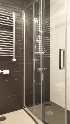 y baño con ducha y puerta de cristal. en Apartment Pontus Stellae, en Santiago de Compostela
