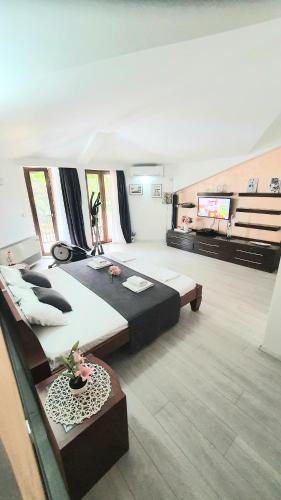 a large room with two beds and a flat screen tv at Apartman Anja in Budva
