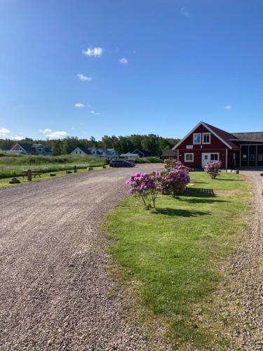 a gravel road in front of a house with purple flowers at Smeakalles annex in Tvååker