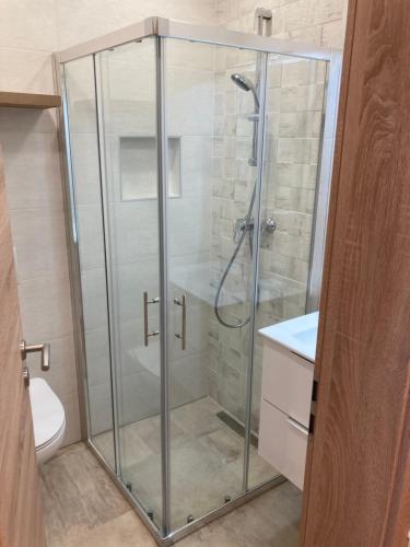 un bagno con servizi igienici e box doccia in vetro. di Apartma Oblak Portoroz a Portoroz