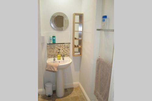 a bathroom with a sink and a mirror at Spire View Apartment in Salisbury