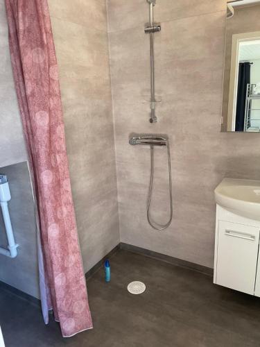 法爾肯貝里的住宿－Lilla Fajans，带淋浴和浴帘的浴室