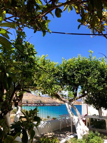a tree in front of a building at Electra in Líndos