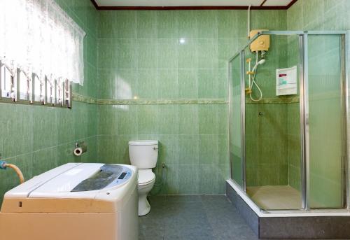 a green bathroom with a toilet and a shower at HideAway in Anse Possession