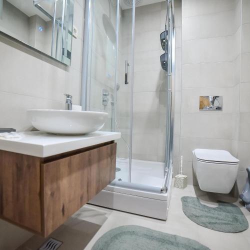 een badkamer met een wastafel, een douche en een toilet bij s23 green in Zlatibor