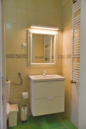 a bathroom with a sink and a mirror and a toilet at Casa "Dolina Kraljevac" in Kraljevac Križevački