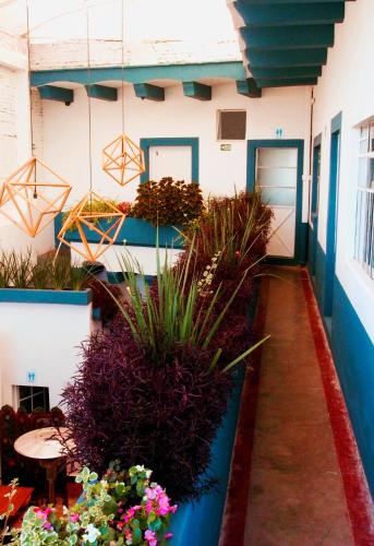 Φωτογραφία από το άλμπουμ του Blue Bicycle House σε Querétaro