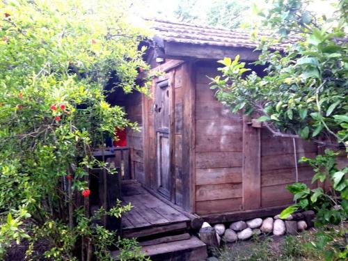 un pequeño cobertizo de madera con porche de madera en Hane-i Keyif Pension, en Cıralı