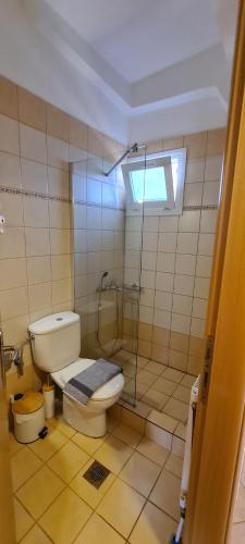 a bathroom with a toilet and a glass shower at Villa Keramidi in Limenaria