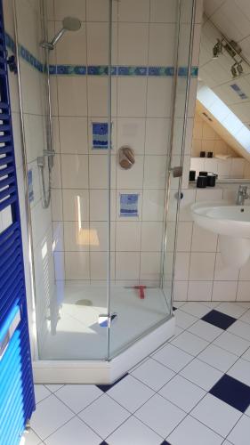 a shower in a bathroom with a sink at Hofgestüt Bleesern FEWO2 in Bleesern