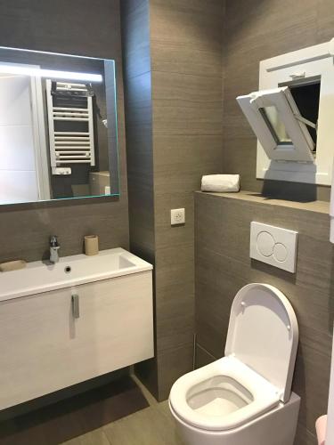 une salle de bain avec toilettes, lavabo et miroir dans l'établissement Dreamplace, à Nice