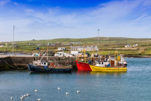 three boats in the water with ducks in the water at The Moorings Hotel & Seafood Restaurant in Portmagee