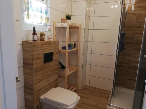 a bathroom with a shower and a toilet at Pokoje goscinne u Olguni in Chyrowa