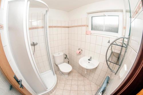 a bathroom with a shower and a toilet and a sink at Penzion 358 in Vrchlabí